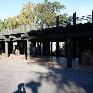 lion exhibit (renovated)
