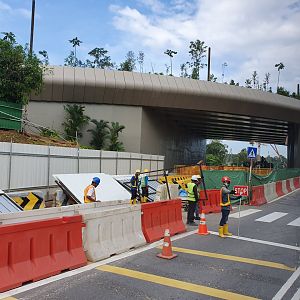 Mandai project - Wildlife bridge (under construction)