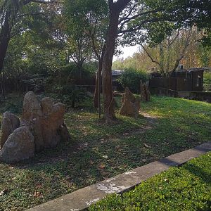 Giant Anteater Exhibit