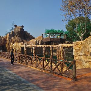 Asiatic Black Bear Exhibit