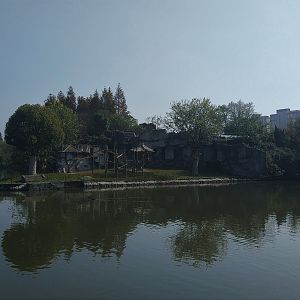 Golden Monkeys Across The Water