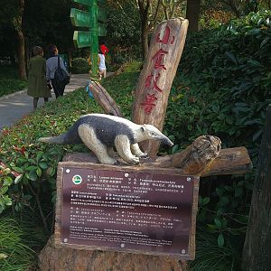 Tamandua Signage