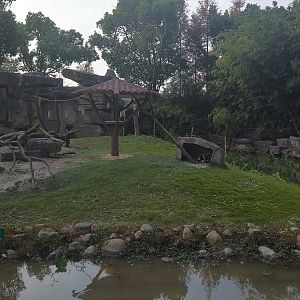 Black and White Ruffed Lemur Exhibit