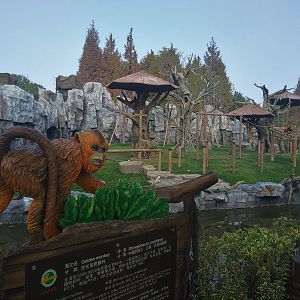 Golden Monkey Exhibit