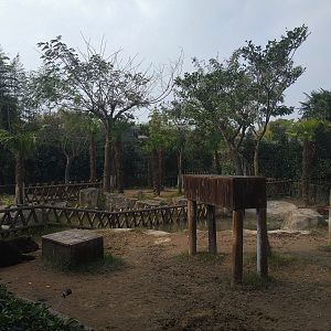 Baird's Tapir Exhibit