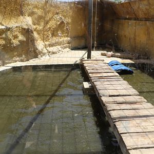 Brown bear pool - Wildlife Park Malta, June 2019