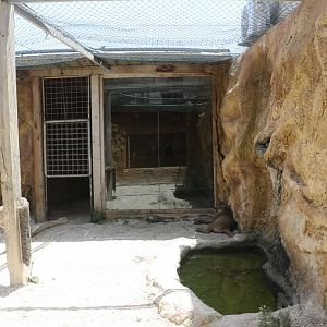 Puma enclosure - Wildlife Park Malta, June 2019
