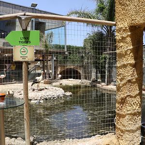 Central pond - Wildlife Park Malta, June 2019