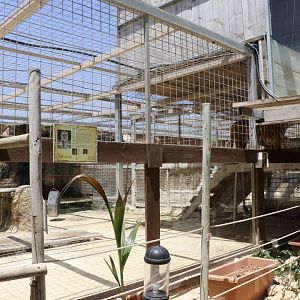 Tiger enclosure - Wildlife Park Malta, June 2019