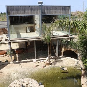 Overview of central area - Wildlife Park Malta, June 2019