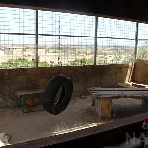 White lion cub enclosure - Wildlife Park Malta, June 2019