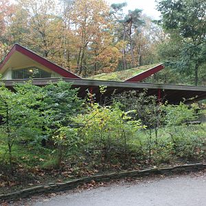 Night / Winter enclosure Bolivian squirrel monkey's