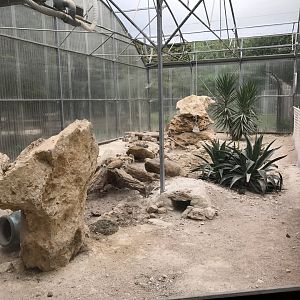 Sandcat exhibit