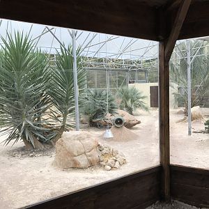 Sandcat exhibit