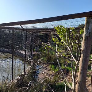 Kookaburra aviary