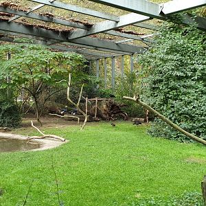 View into Wading bird / Vulture aviary next to Hippo-house