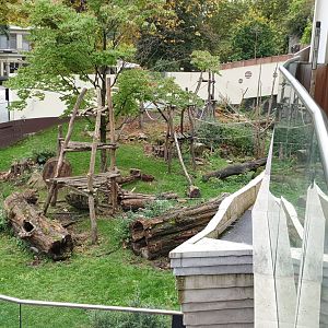 Spectacled bear enclosure