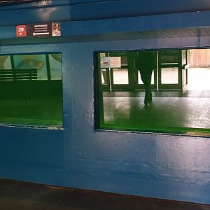 Underwater-viewing current Sea-lion enclosure
