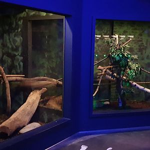 Last view on some of the last Nocturnal enclosures