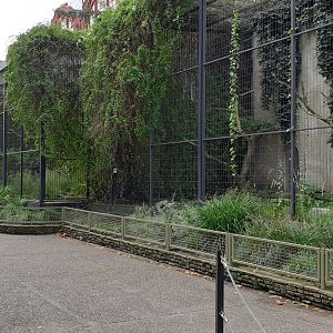 Large Bird of prey aviaries