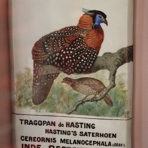 Very old ( and intresting ) sign