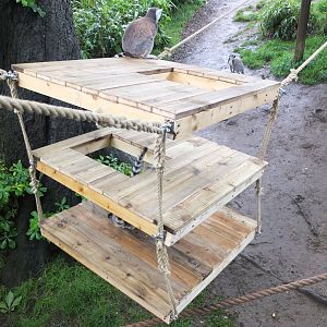 Lemur floating platforms