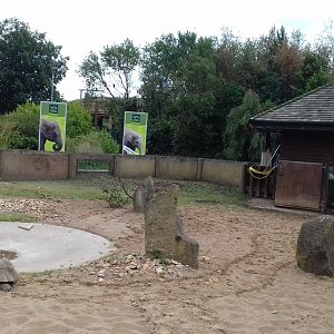 Overview of tortoise enclosure at entrance