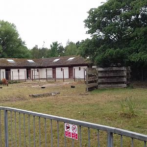 Overview of bongo paddock