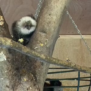 "I wonder if it looks better this way"