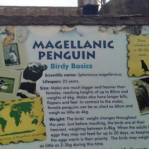 Interpretation example