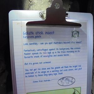 Interpretation example in the Bug House