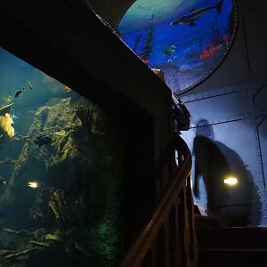 Tall tropical tank and staircase, 2019-10-05