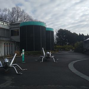 Insectopia and Insectarium