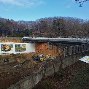 New Lion Exhibit Under Construction
