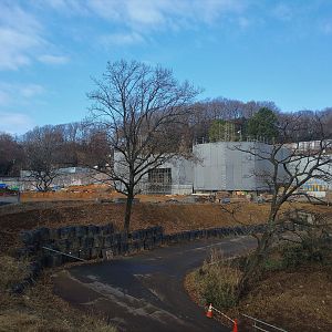 New Lion Exhibit Under Construction