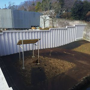 Temporary Lion Enclosure