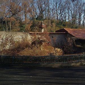 Disused Animal House