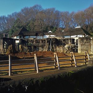 African Elephant Paddock