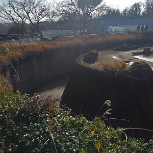 African Elephant Moat