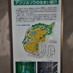African Elephant Exhibit Map