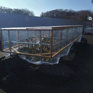 Winter Plant Protection