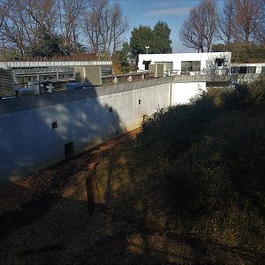 Back of the Chimpanzee Exhibit