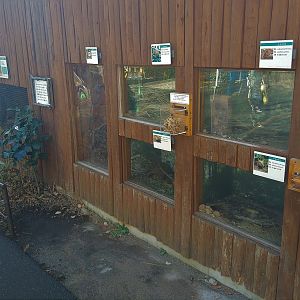 Small Mammal Exhibits