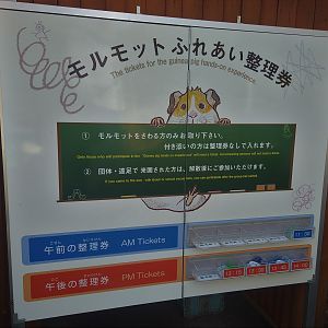 Guinea Pig Hands-On Experience Tickets