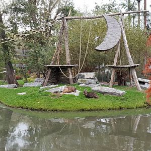 Chinese goral enclosure