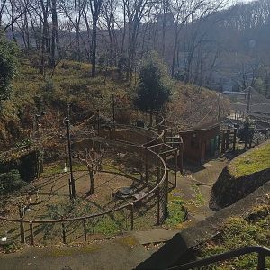 White Stork Exhibits