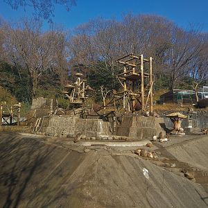 Japanese Macaque Exhibit