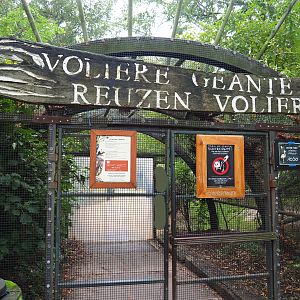 Access to the large walk-through aviary, 2019-10-05