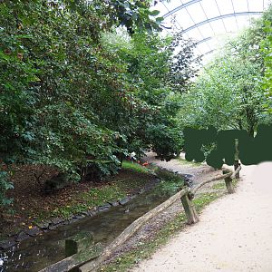 View in large walk-through aviary, 2019-10-05