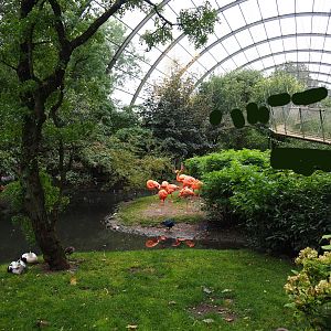 View in large walk-through aviary, 2019-10-05